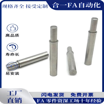 替换ZAS11-D1.5/D2/D3/D4/D5-H1.5/H3/H4/H6/H8/H9/H12柱塞