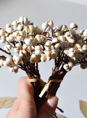 小白果乌桕果diy手工插花松树装饰树枝植物圣诞树北欧风花束干花