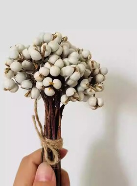 小白果乌桕果薏米果干花室内装饰摄影道具DIY圣诞花环森系材料包