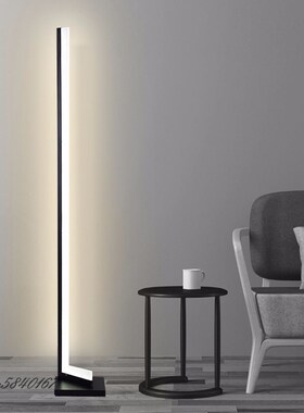 Modern Minimalist Floor Lamp LED Floor Lights Lighting for L