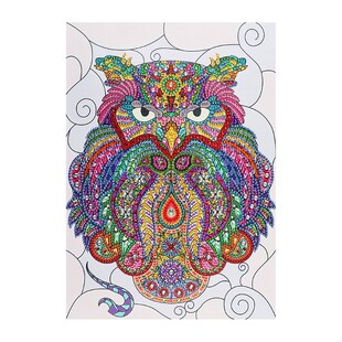 5D Special Diamond Painting Colorful Owl Embroidery Rhinesto