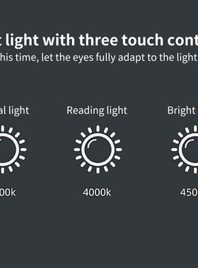 Adjudtable Gooseneck Multifunctional Touch Control USB Recha