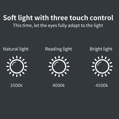 Adjudtable Gooseneck Multifunctional Touch Control USB Recha