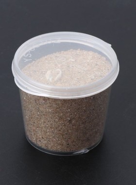 Beach Natural Seashell Starfish Sand For UV Resin Fillings F