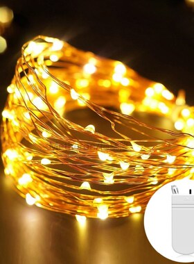 Fairy 2M 5M Battery Operated LED Copper Wire String Lights
