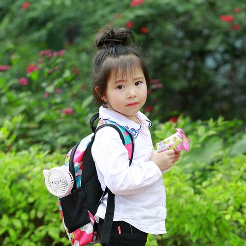 Mini Handheld Personal Fan Rechargeable Battery Powered Adju
