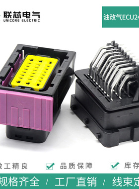 联芯电气211PC249S0005油改气电脑板ECU24连接器HCCPHPE24BKA90F