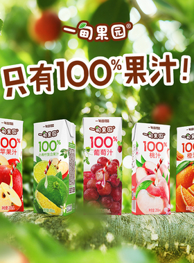 一甸果园100%葡萄汁苹果汁桃汁小青柠汁橙汁果汁饮料200mL*10盒w