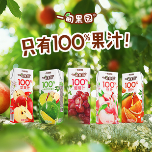 一甸果园100%葡萄汁苹果汁桃汁小青柠汁橙汁果汁饮料200mL 10盒w