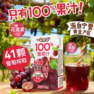一甸果园100%葡萄汁约41颗葡萄榨取好喝的果汁饮料125mL*6盒