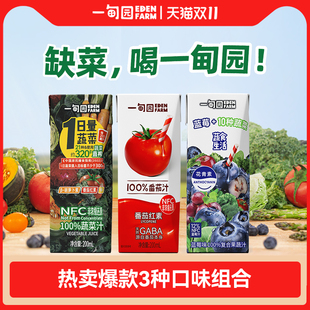 30盒 200mL 一甸园100%番茄汁蔬菜汁 蓝莓味复合果蔬汁混合装