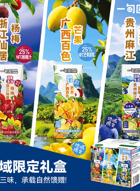 一甸园地域限定3种口味杨梅芒果麻江蓝莓礼盒混合装200mL*6盒