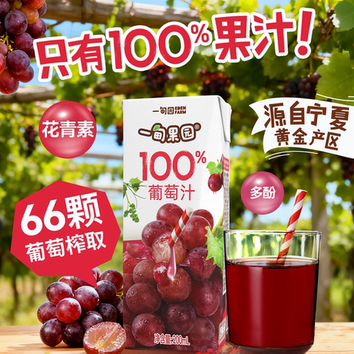 一甸果园100%葡萄汁200mL*10盒