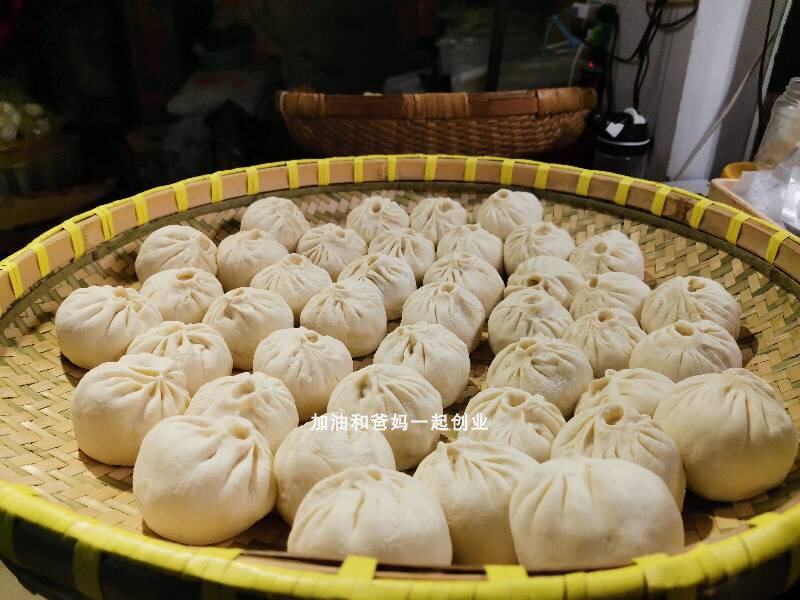 盐阜特产苏北马菜包子马齿菜包子手工10个装