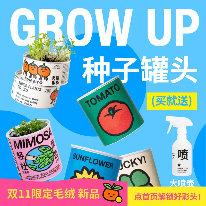 超极植物含羞草种子罐头