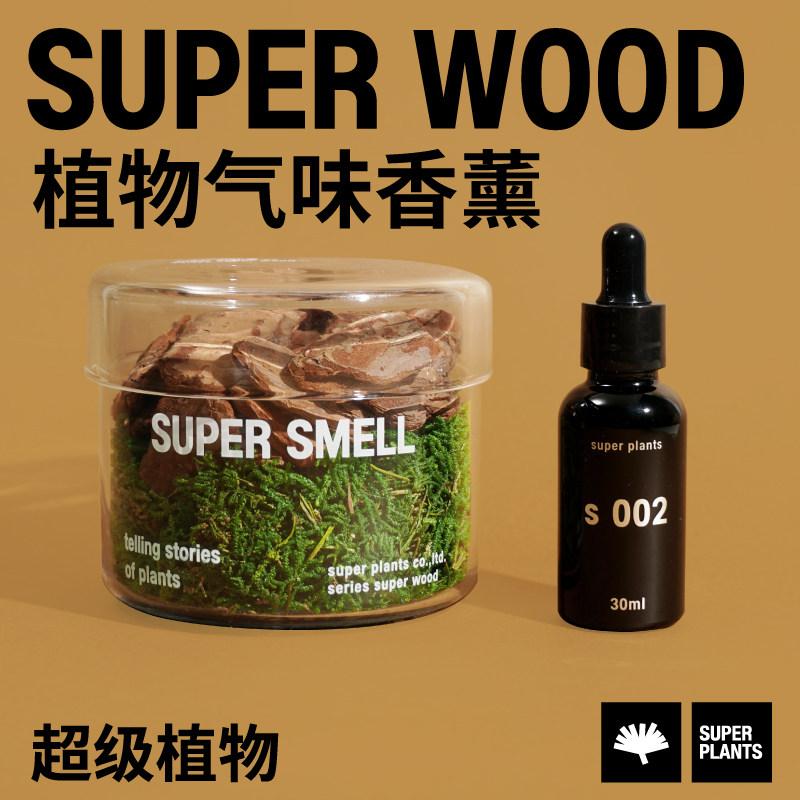 超级植物安吉竹海植物苔藓香氛无火香薰室内生日情人节38节礼物