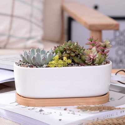 Simple white creative ni succulents cerac pots with rect