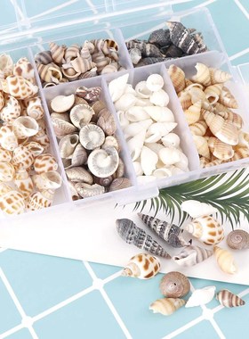 Mix Style Natural Shell 1-3cm 1 BOX Natural Conch Shells Min