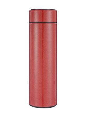 500ml Travel Insulated Water Bottle Handheld With Filter Sta