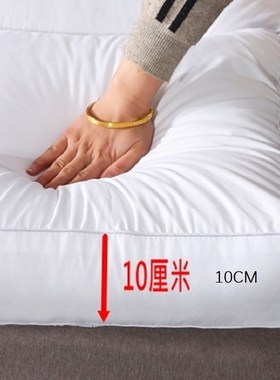 10cm Thickened comfort soft mattress Portable Health filler