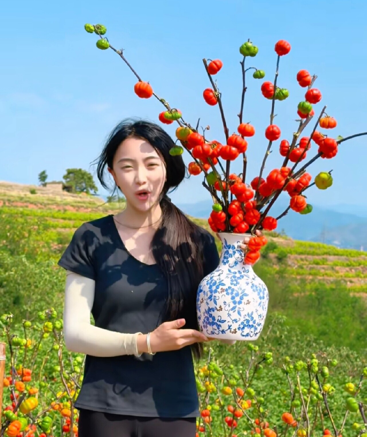 家养南瓜万事不难小南瓜云南基地直发不可水养可做干花家居植物