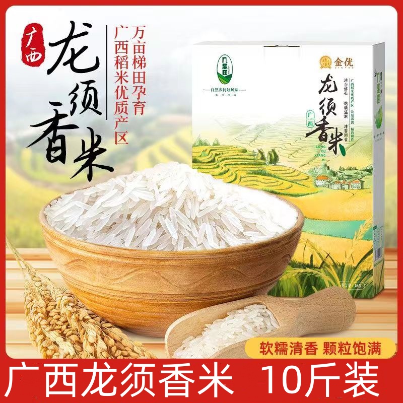 广西龙须香米几里田梯田种植长粒