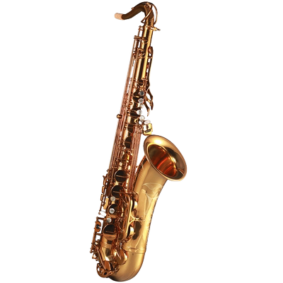 法国罗林斯初学次中音萨克斯乐器