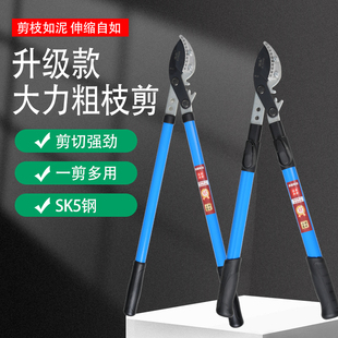 德国进口修剪果树树枝剪刀园艺大号剪枝工具加长果园手动长杆园林