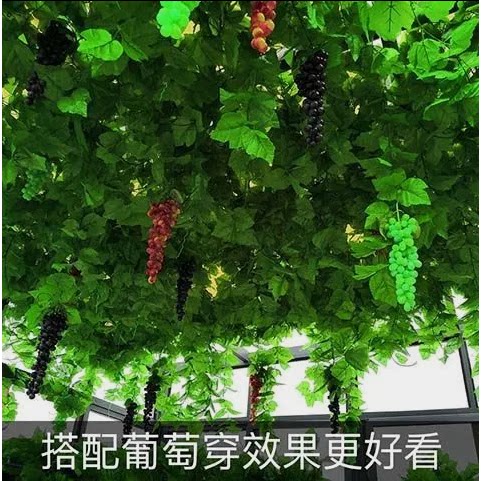 仿真葡萄串带霜假葡萄仿真水果塑料假花藤条绿植大葡萄叶装饰绿叶