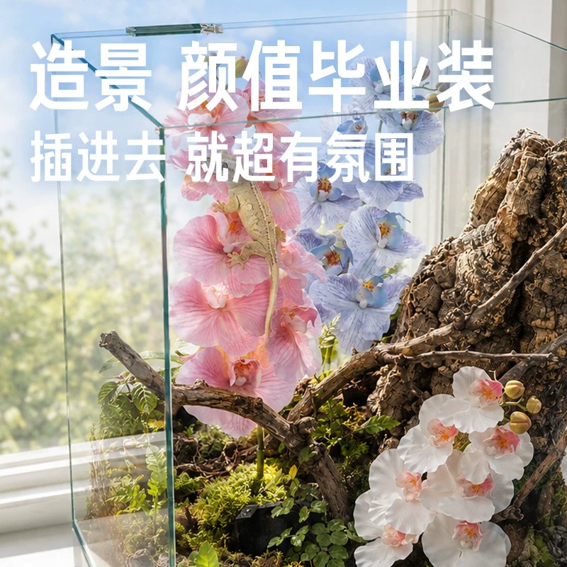 高端仿真蝴蝶兰花艺 湿感逼真假花餐桌茶几插花家居摆设摆件
