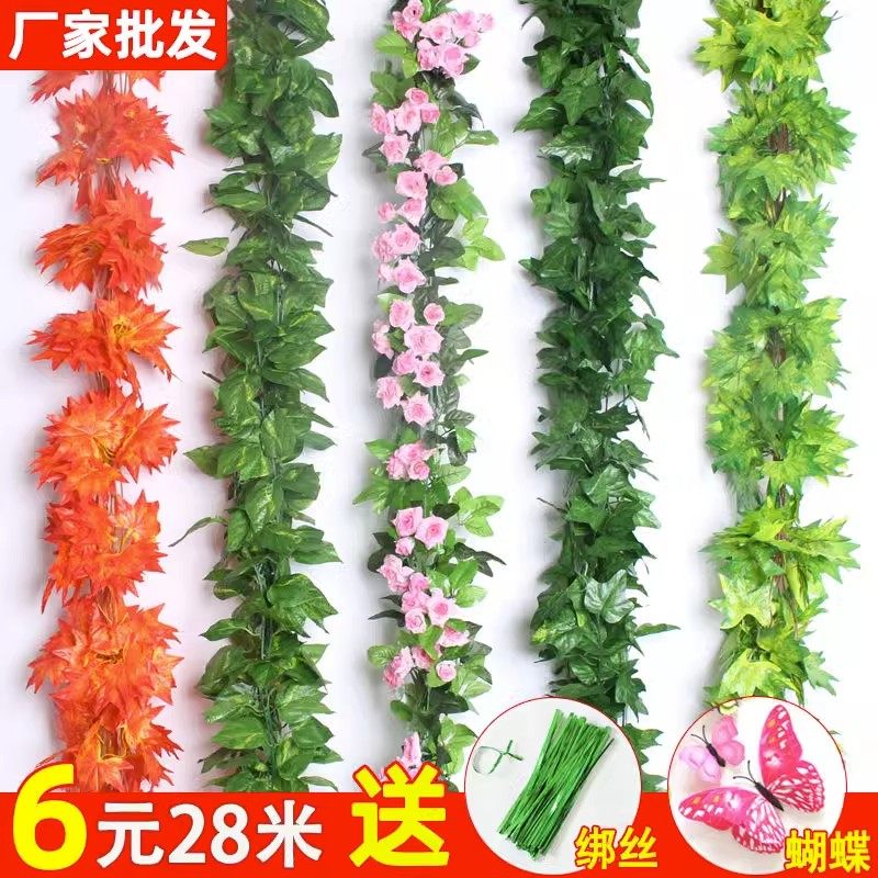 吊灯水管管道葡萄藤栏杆遮丑装饰花藤排水管阳台下水管道遮挡爬藤