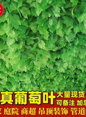 小红书同款包暖气管燃气管天然燃气煤气管热水器管表遮挡装饰美化