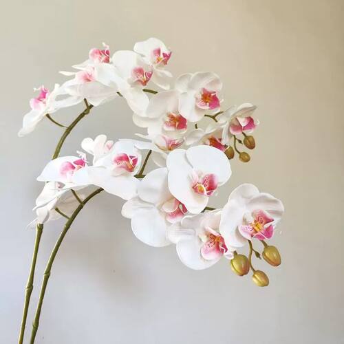 北欧风仿真蝴蝶兰花艺 逼真湿感假花客厅茶几桌面插花摆设花