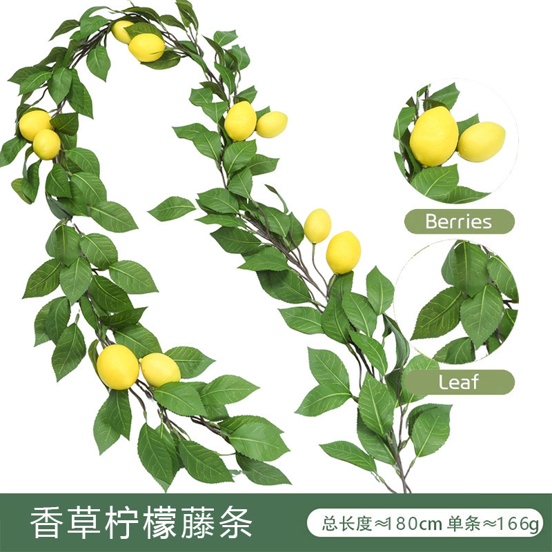 墙面挂饰仿真人造柠檬藤条亚马逊桉树叶绿植仿真植物藤条室内装饰