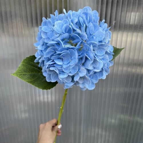 莫兰迪灰调仿真保湿绣球花ins民宿餐桌摆花摄影拍摄道具假花花材
