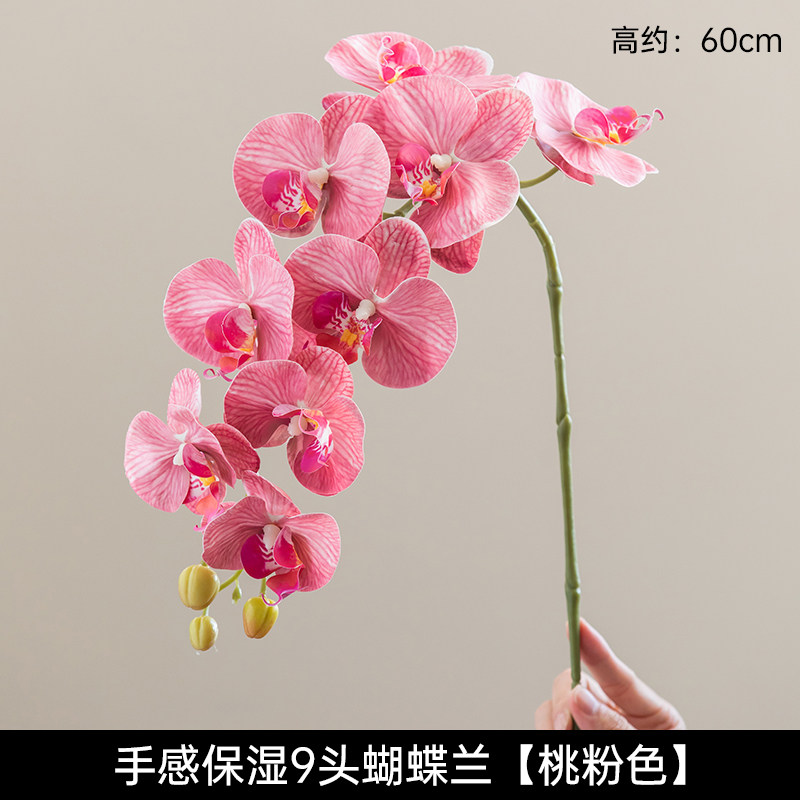 高端仿真蝴蝶兰花艺 湿感逼真假花餐桌茶几插花家居摆设摆件