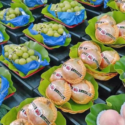 仿真大荷叶芭蕉叶餐厅菜肴水果店烧烤店装饰摆盘绿色硅胶叶子垫盘