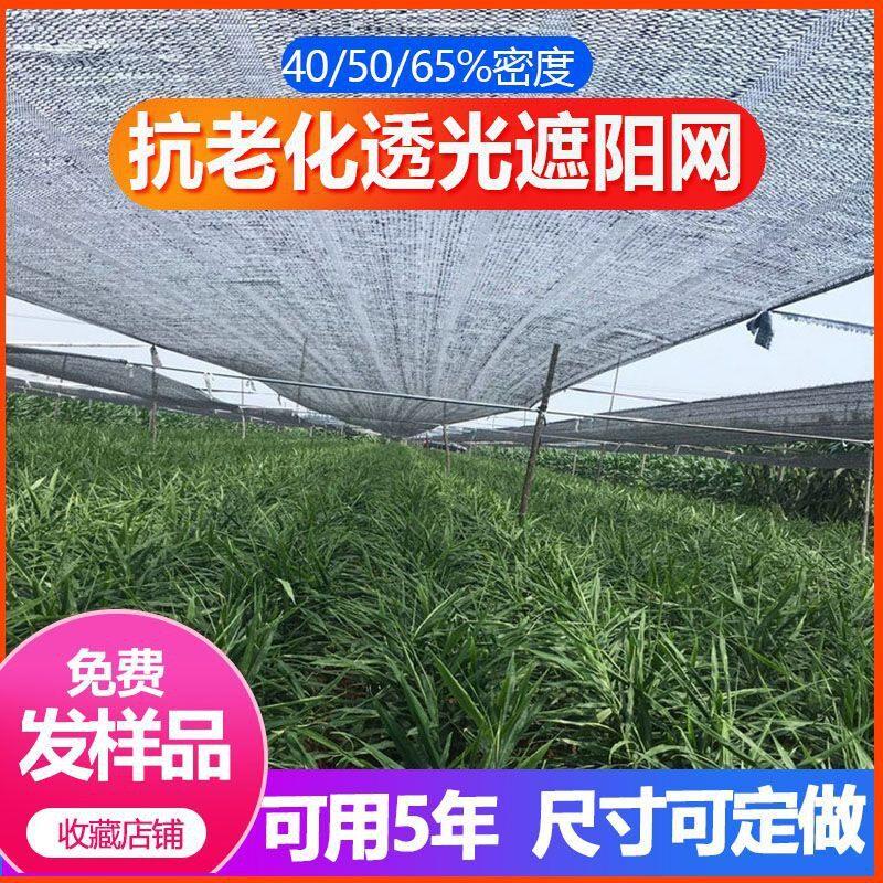 大姜专用遮阳网平针抗老化平织重楼蔬菜果树大棚生姜防晒网布农用