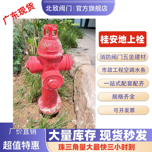 桂安室外防撞消防栓SS100/65