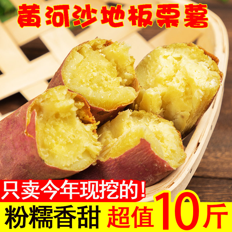 新鲜板栗红薯陕西农家黄心番薯现挖沙地白薯自种糖心小地瓜10斤