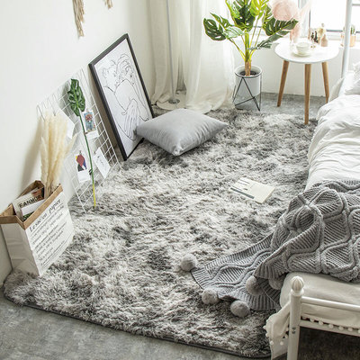 地毯卧室床边客厅2023新款毛毯少女房间茶几长绒加厚新款地垫冬季