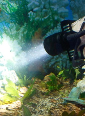 Canister Scuba IPX8 Diving Light Torch 10 Degree Cree XM-L2