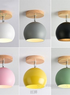 Modern Colour Led Ceiling Lights with Metal Lampshade for Co