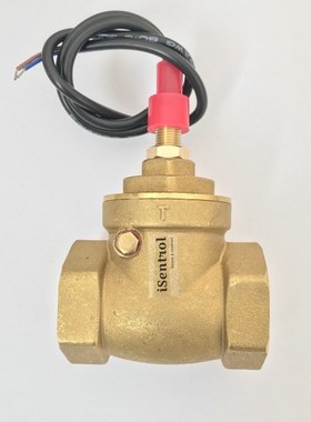 USB FS10TA Baffle Type Flow Sensor Switch Reed Switch Brass
