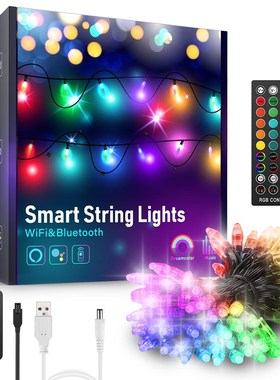 Colorful Lights For Outdoor Festivals, Celebration Parties,