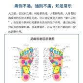 脚底经络疏通神器家用脚踩指压板足底按摩器多功能按脚板底按摩仪