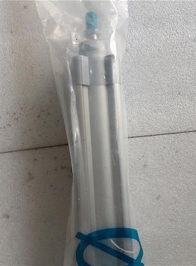 【议价】议价 FESTO DSBC-32-100-PPVA-N3 1376426 实拍