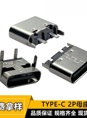 2PTYPE-C母座 卧室直插 type c两脚简易焊线充电母头USB3.1连接器