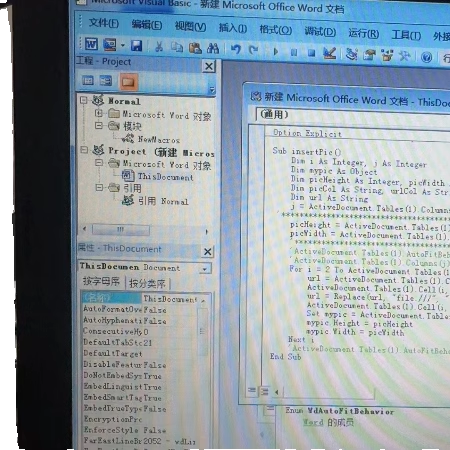 WPS OFFICE WORD EXCEL表格插件加载项开发OA办公自动化编程vba宏
