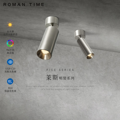 明装可调折叠全光谱高显色射灯